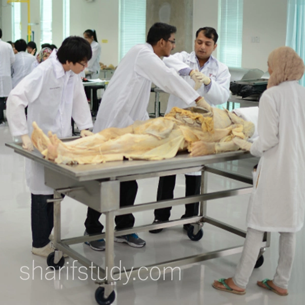 Taylor's anatomy lab-university Malaysia