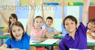 Sunway International School Grades and Courses