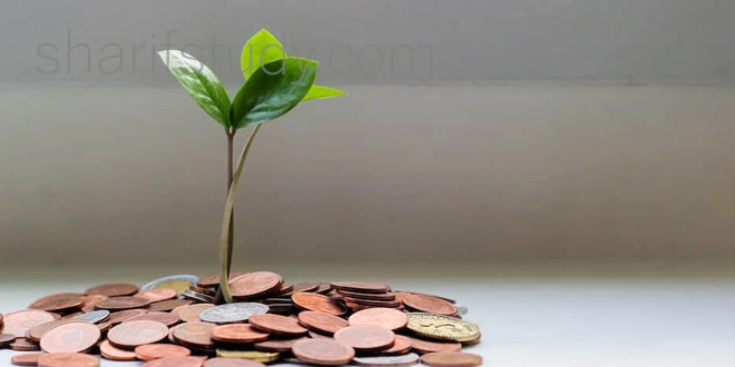 Nexus international school Fees