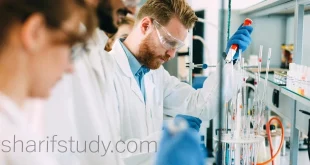 Sunway Chemical Engineering Fees