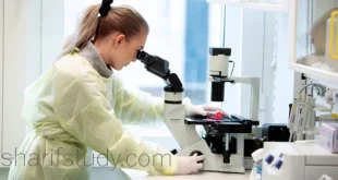 Sunway Biomedicine Fees