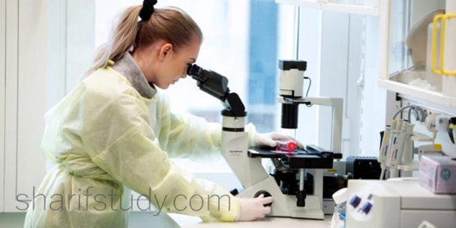 Sunway Biomedicine Fees
