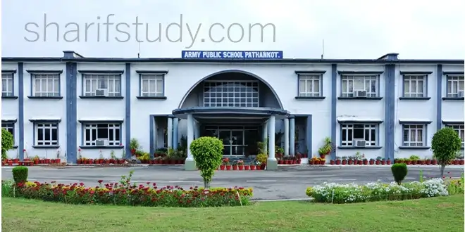 APS International School