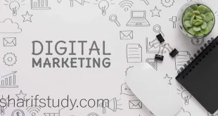 APU BA in University Digital Marketing