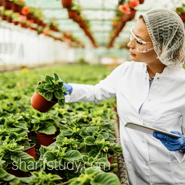 Master of Plantation Management