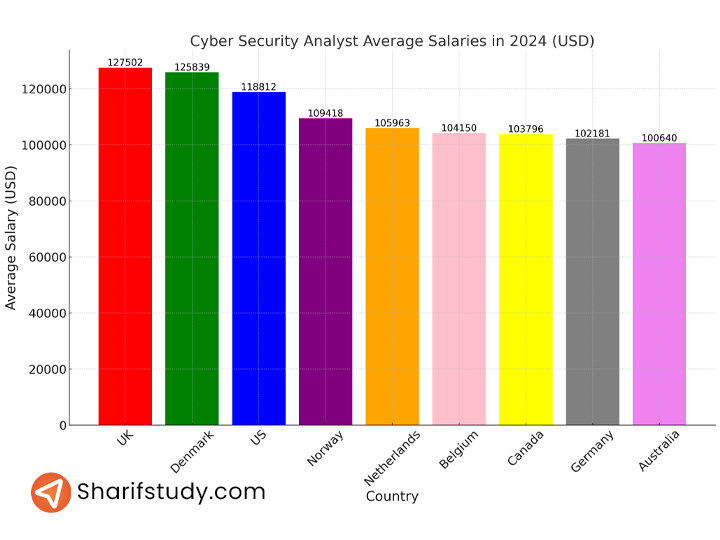 Cyber Security Analyst