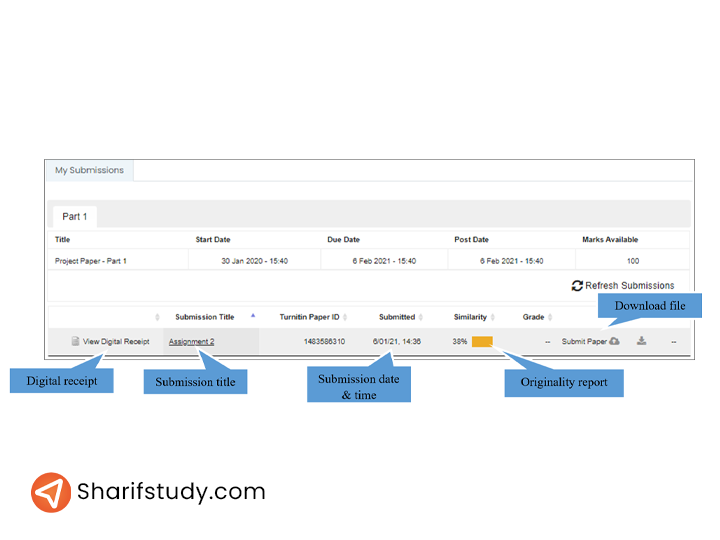 How-to-submit-an-assignment-through-Turnitin4