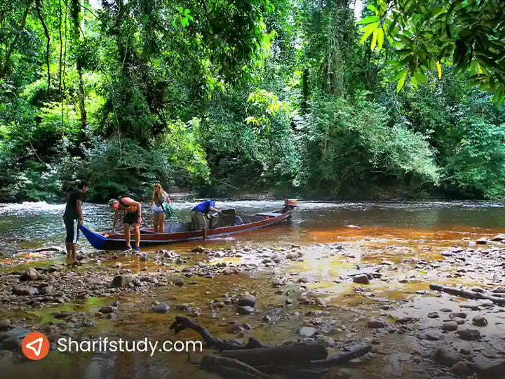 شهر جنگلی تاومان نگارا (Taman Negara) مالزی