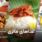 غذاهای مالزی