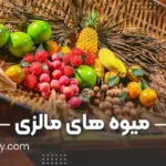میوه های مالزی