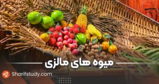 میوه های مالزی