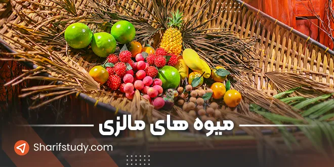 میوه های مالزی