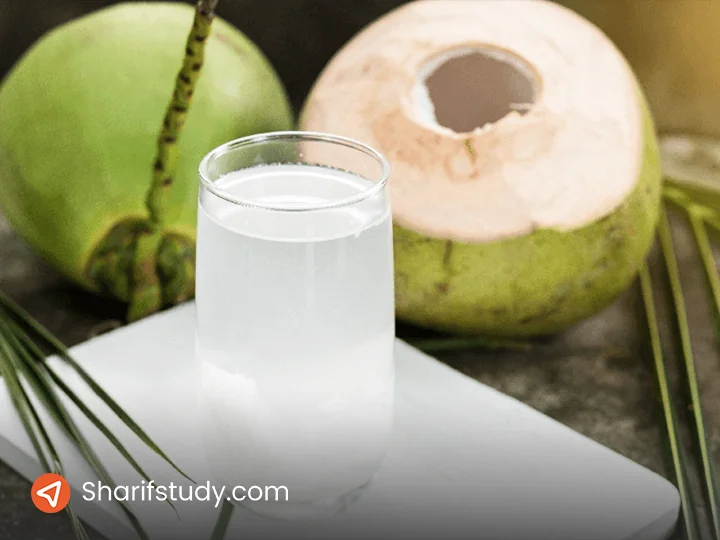 فرآورده های نارگیلی سوغات مالزی