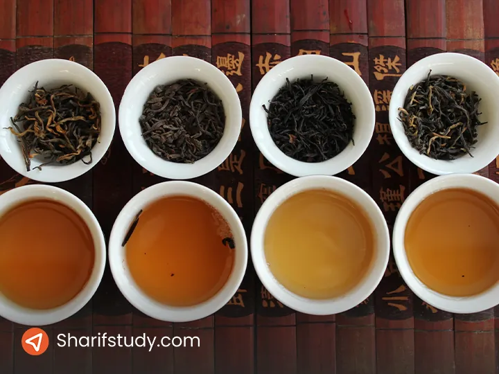 چای سوغات مالزی